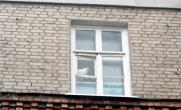 Пластиковые окна для дома - до